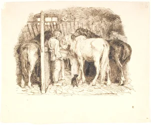 Horses in a Stable Being Watered by a Boy