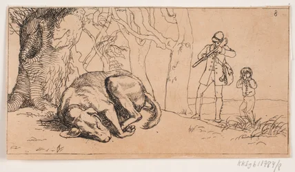 Image 8
