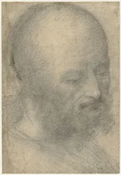 Head of an Old Man with Beard