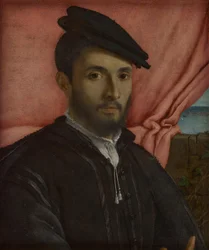 Portrait of a Young Man