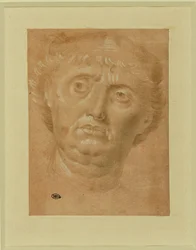 Portrait of a Man, Full Face, Eyes Turned Left