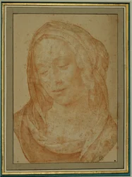 Portrait of a Woman with Veil