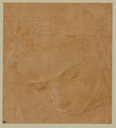 Portrait of a Young Man Looking Down