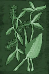 Botanical Shades of Green