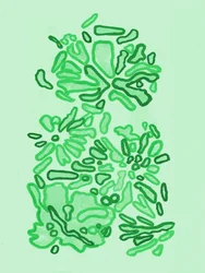 Green Organic Shapes