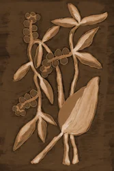 Organic Sepia Botanicals