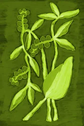 Vibrant Green Foliage
