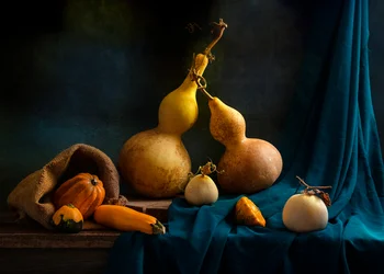 Autumn Gourds Still Life