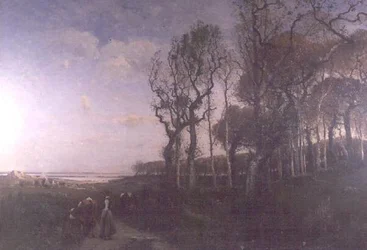 A Country Path