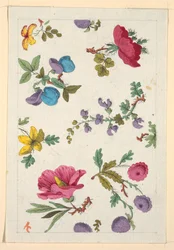 Floral Design for Printed Textile