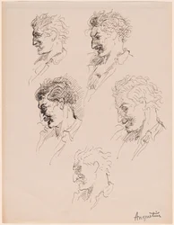 Head Studies