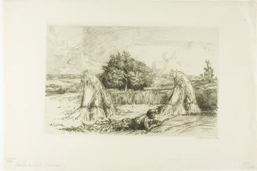 Sheaves of Rye