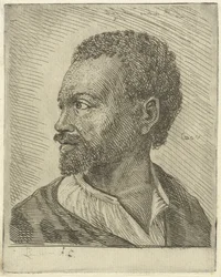 Portrait of an Abyssinian