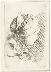 Study Sheet with a Woman
