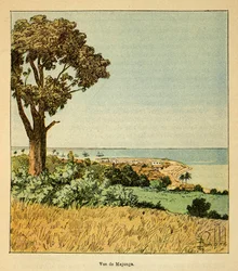 The War in Madagascar: View of the City of Majunga in the 19th Century
