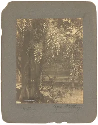 Tiffany Studios