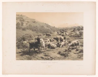 Shepherdess with Goats and Sheep in the Pyrenees (Bruyères des Pyrénées, Meadows, Les Paturages)