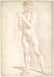 Standing Male Nude