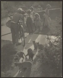 Children and Cats