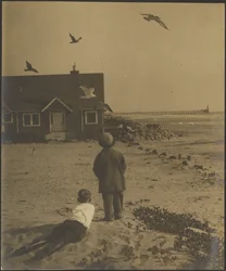 Children at Sea Side Watching Birds