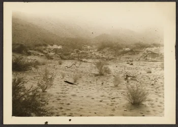 Coyote Canyon
