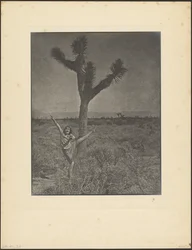 Dancer at Joshua Tree