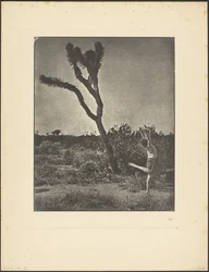 Dancer at Joshua Tree