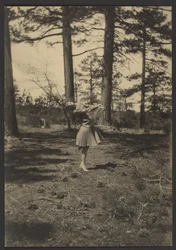 Female Dancer in Pine Clearing