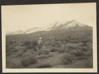 Figure in Landscape
