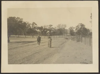Figures in Field