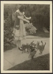 [Florence and Cats]
