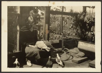 Florence with Pigeons