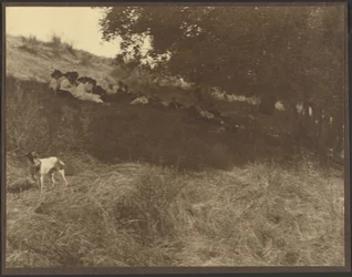 Group Portrait Resting in Field with Dog