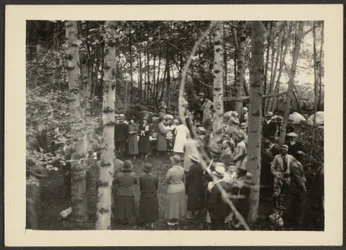 Group in the Woods