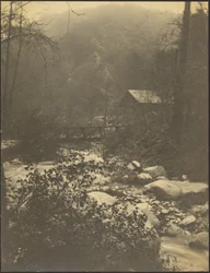 In the Little Santa Anita Canyon