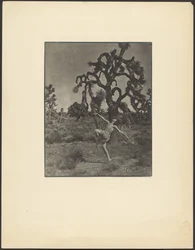 Inspiration of the Dance