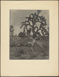 Inspiration of the Dance