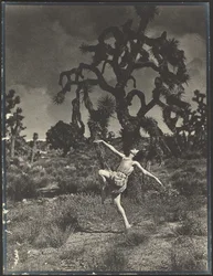 Inspiration of the Dance