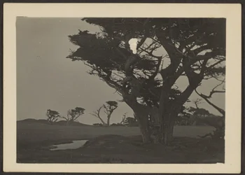 [Landscape]