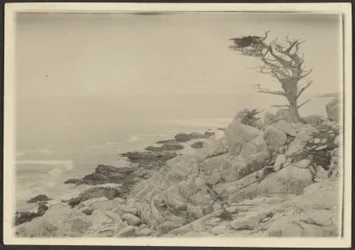 [Landscape]
