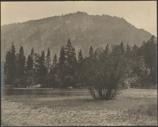 Landscape with Rock Cliffs