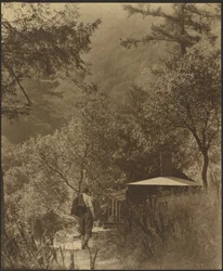 [Man Walking to Cottage in the Woods]