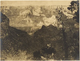 Mountainous Landscape with Bare Tree