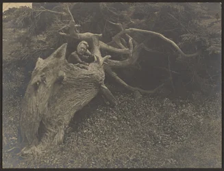 Mrs. Fleckenstein Leaning on a Large Fallen Tree