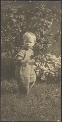 Portrait of a Child in Garden
