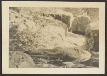 Rocky Landscape