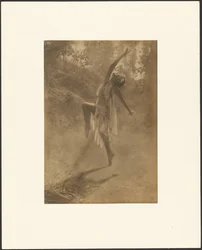 Rose Dance of the South