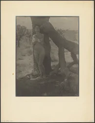 Spirit of the Joshua