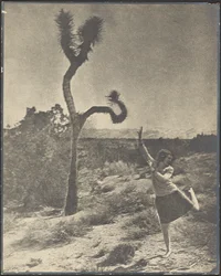 The Corkscrew Twist