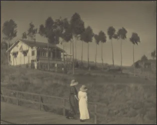 The White Cottage